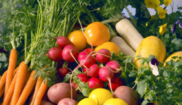 Zdrowa dieta- zbilansowane posiłki Zdrowa dieta- zbilansowane posiłki
